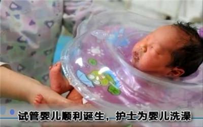 女同伴侣借卵代怀